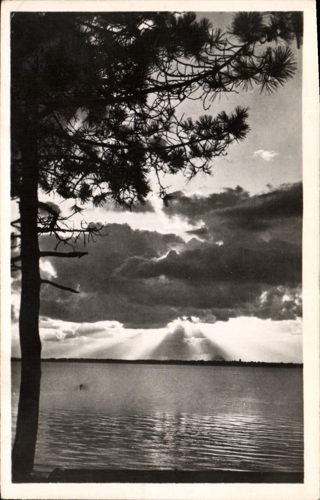 CPA Arcachon a Gironde crepuscule sur le Bassin