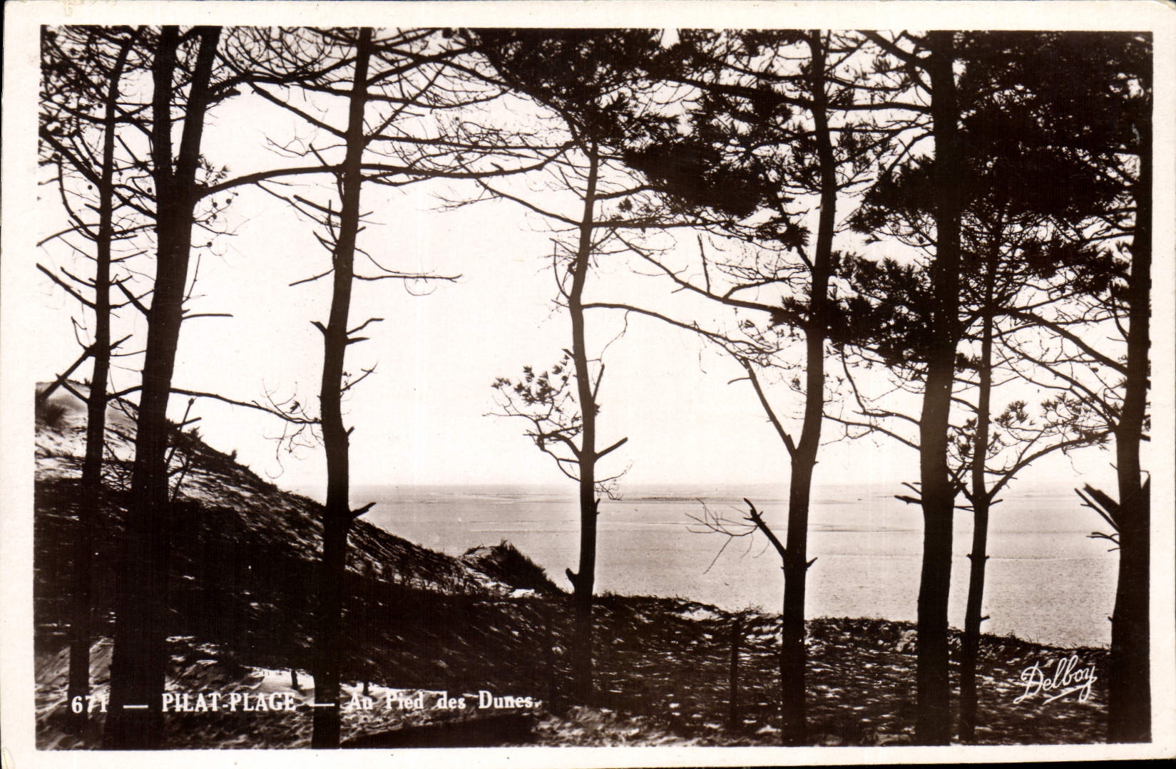 CPA Pilat Place Au Pied des Dunes 
