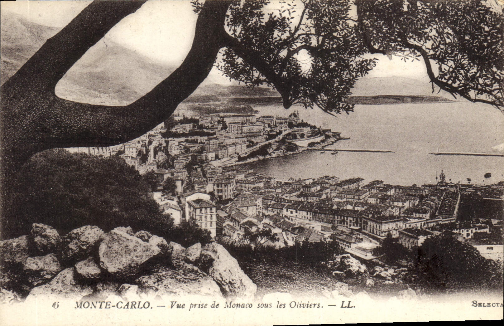 CPA Monte Carlo Vue prise de Monaco sous les Oliviers 