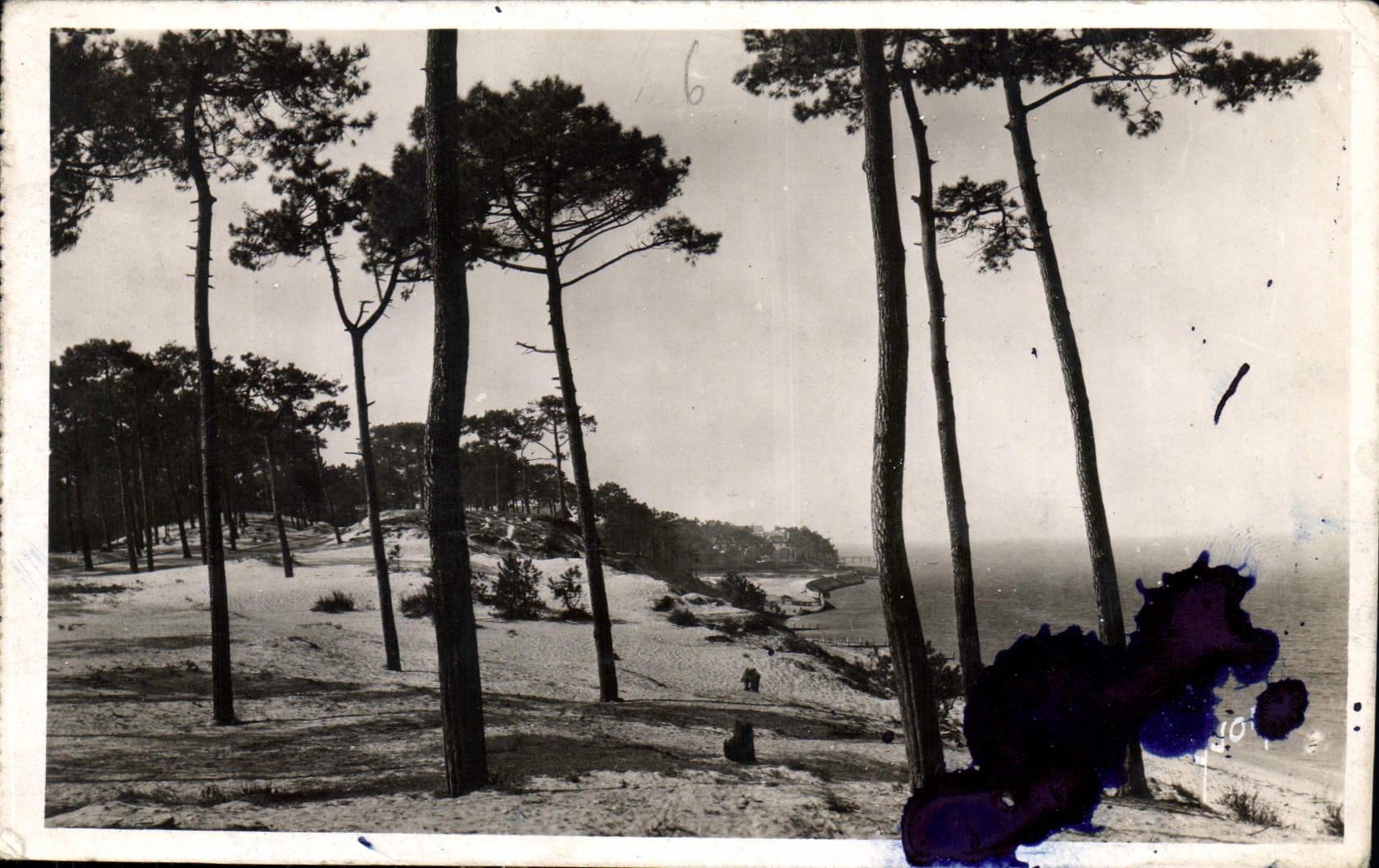 CPA Le Moulleau Arcachon Gironde Le Parc des Abatiulles et vue les passes du Bassin 