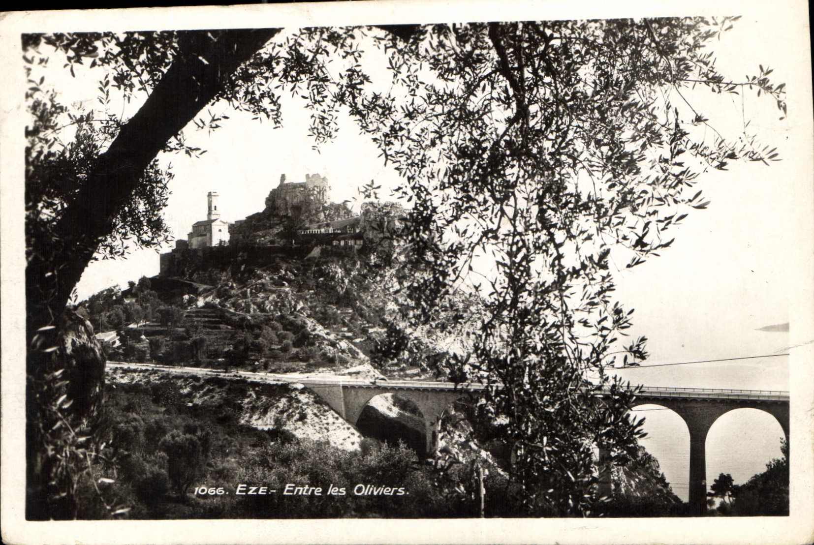 CPA Eze Entre les Oliviers 