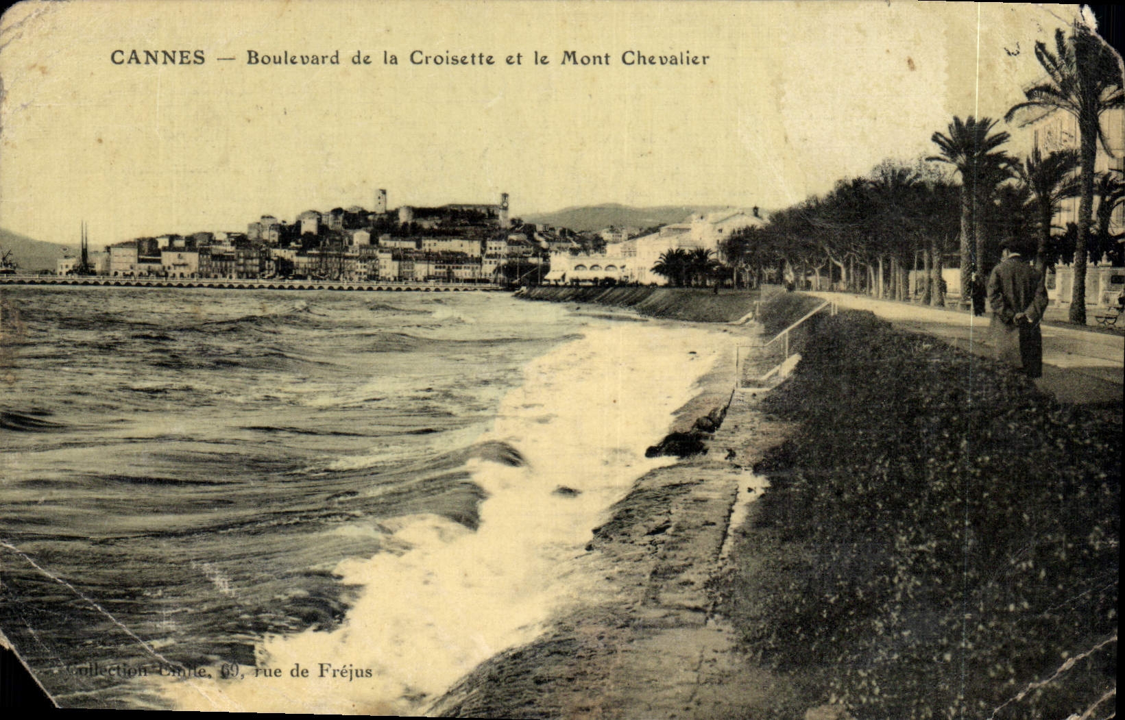 CPA Cannes Boulevard de la Croisette et le Mont Chevalier 