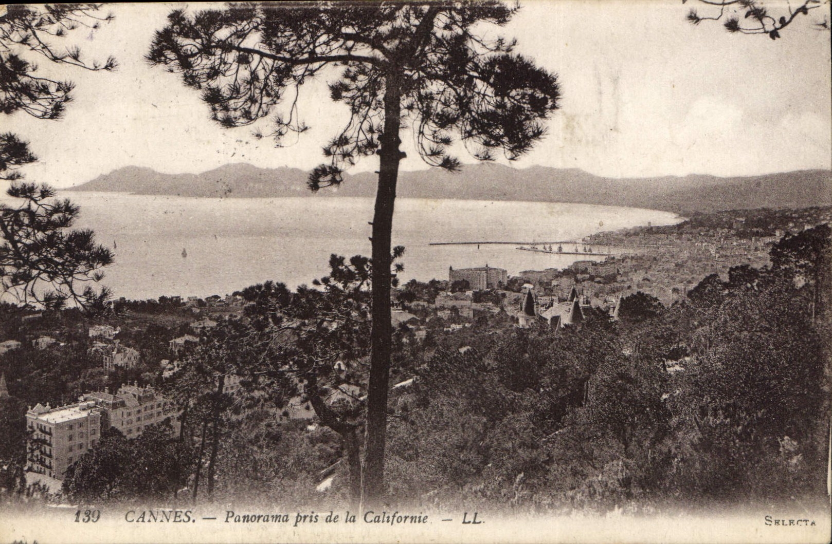 CPA Cannes Panorama pris de la Californie 