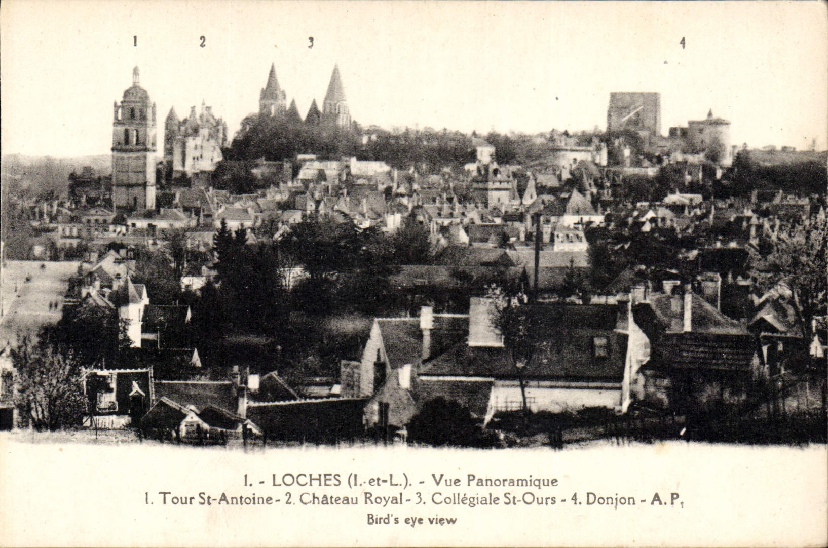 CPA Loches Vue Panoramique Tour St Atnoine Château Royal Collegiale St Ours Donjon