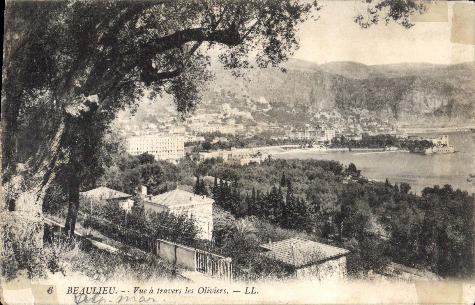 CPA Beaulieu vue a travers les Oliviers