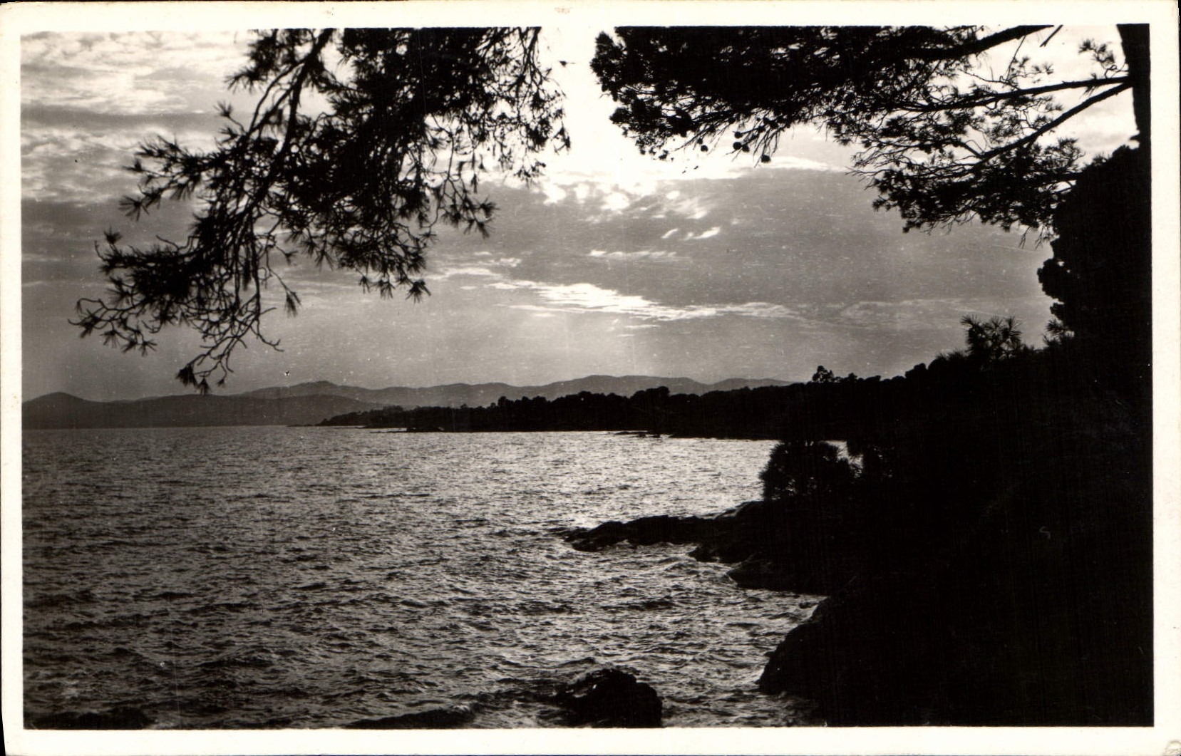 CPA La Cote d'Azur Coucher de Soleil 