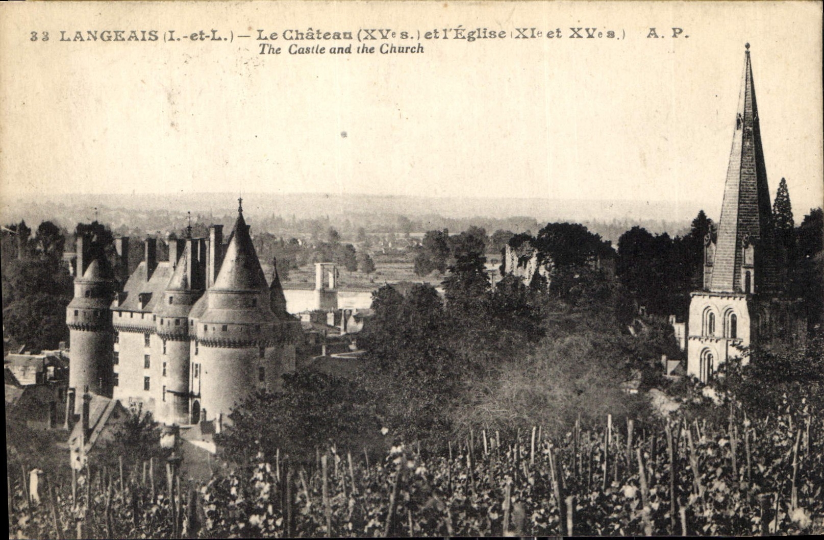 CPA Langeais Le Chateau 