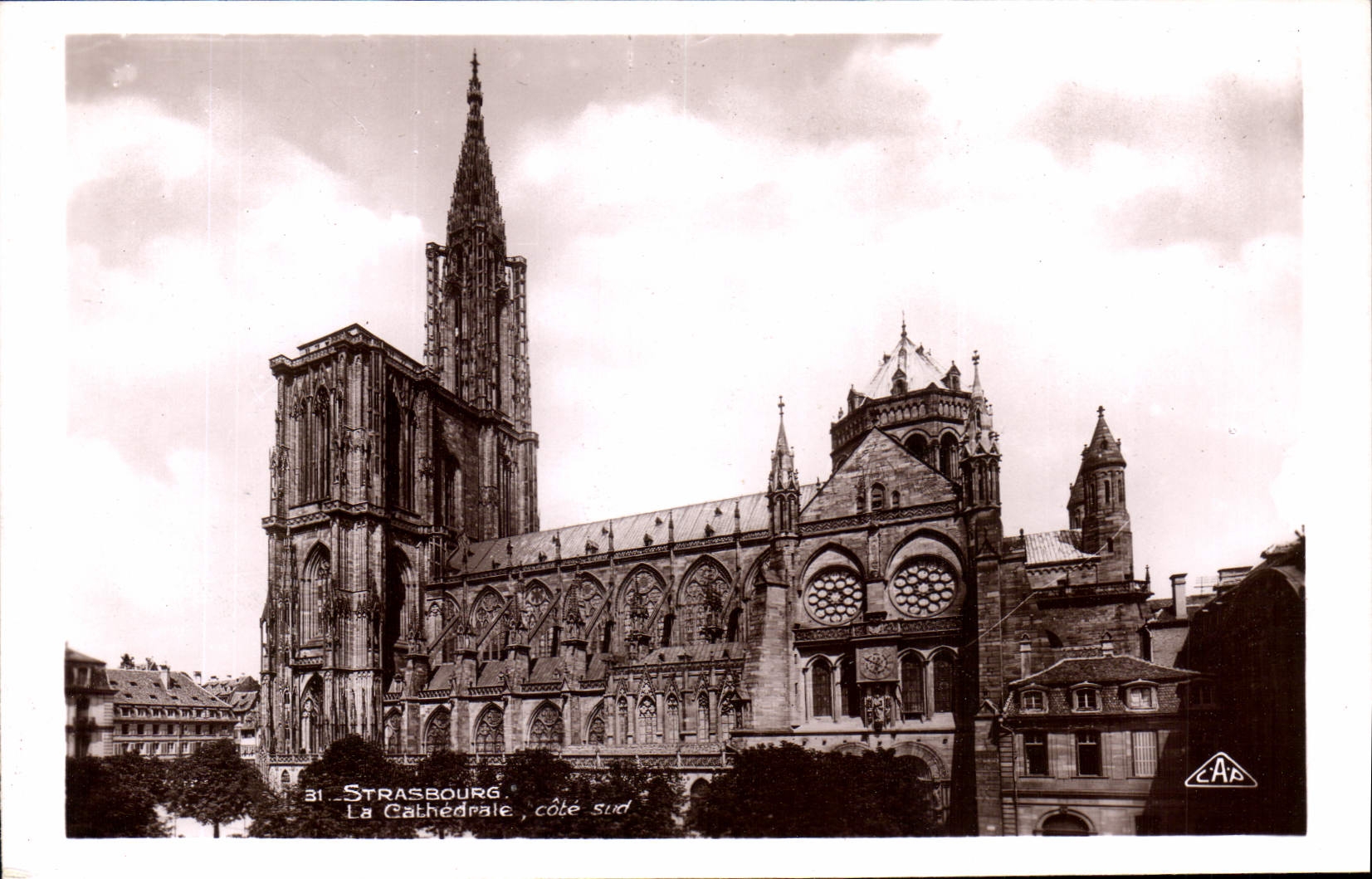 CPA Strasbourg la Cathedrale Cote Sud