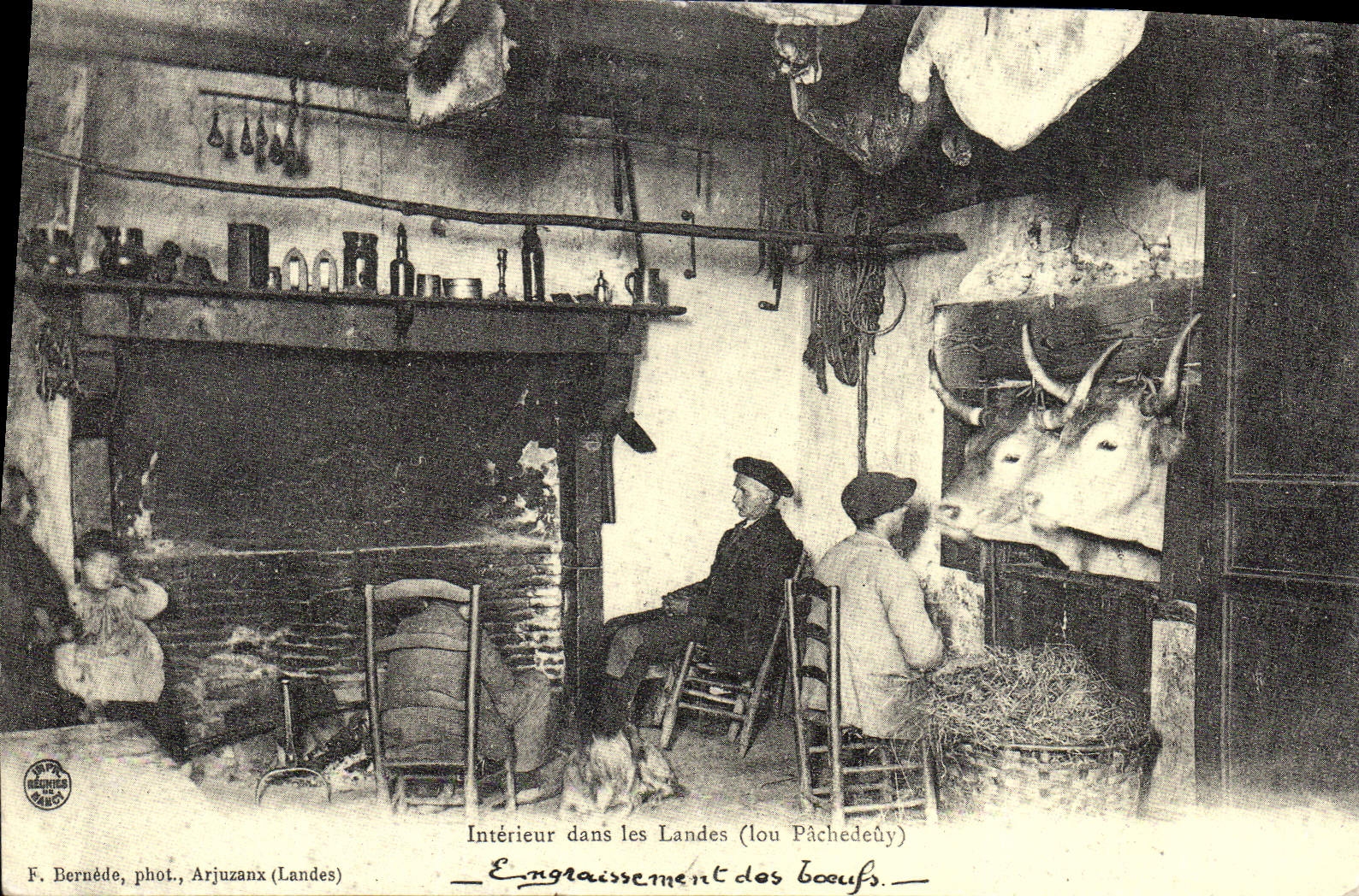 REPRO Interieur dans les Landes lou Pached euy