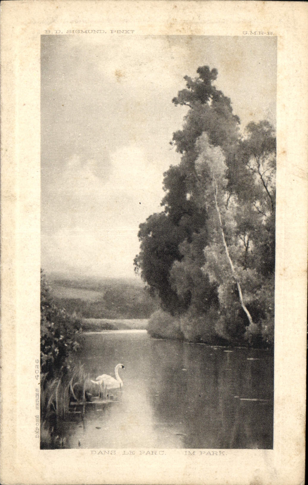 CPA Dans le parc Cygne