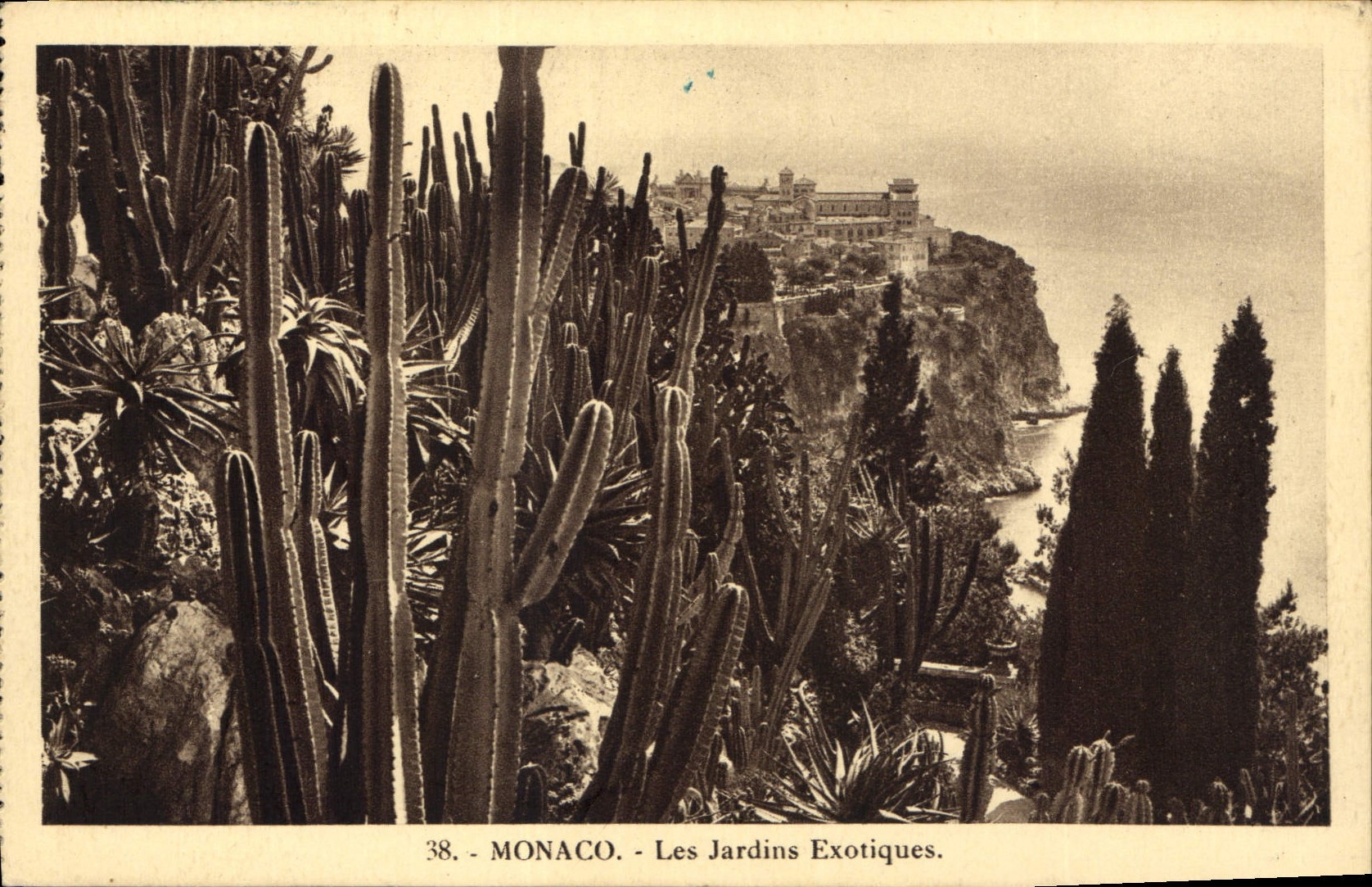 CPA Monaco Les Jardins Exotiques 