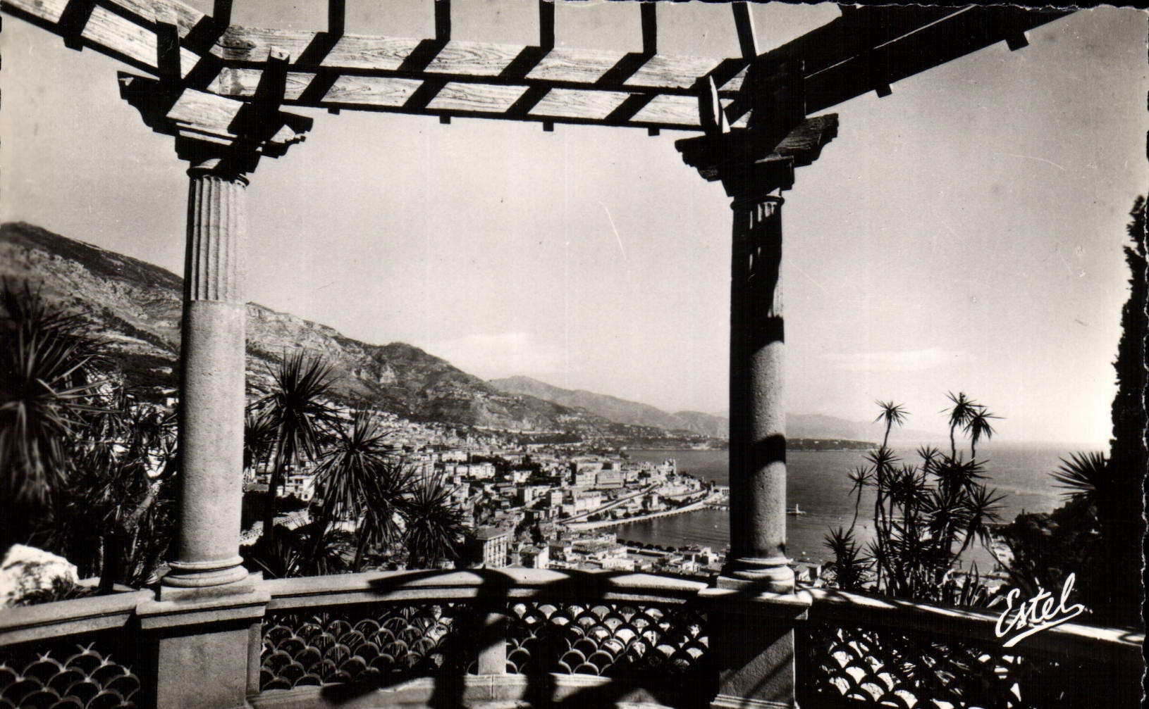 CPA Monte Carlo vu de la Terrasse du Jardin Exotique 