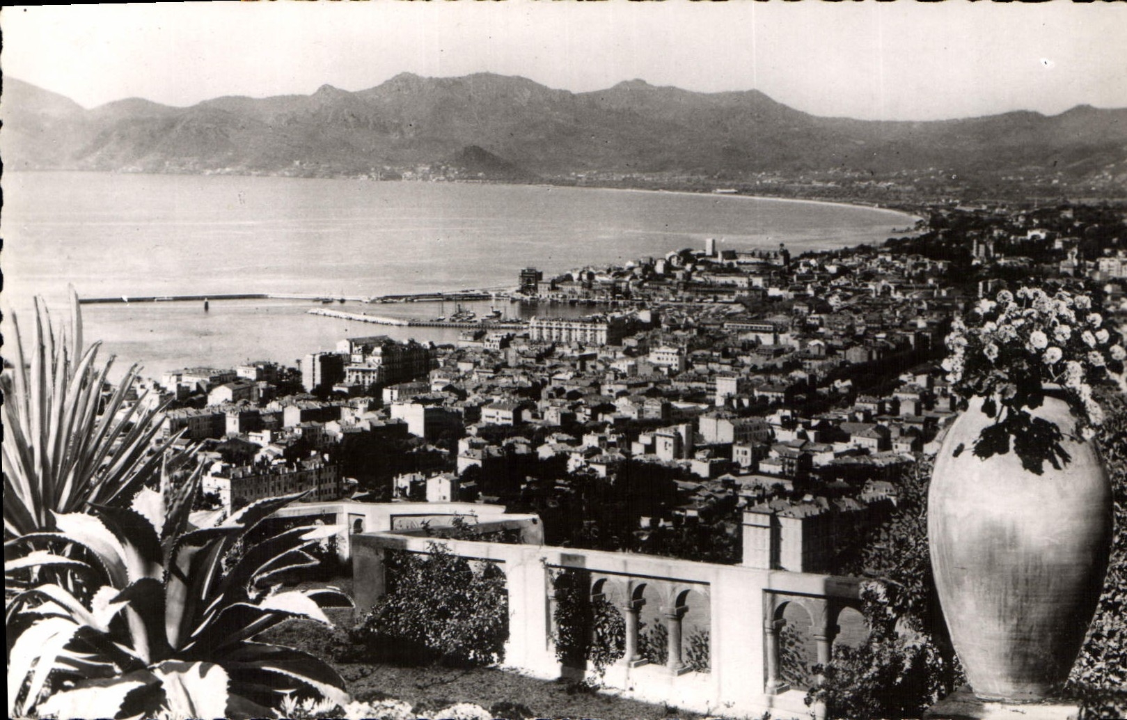 CPA Cannes vue prise de Super Cannes  