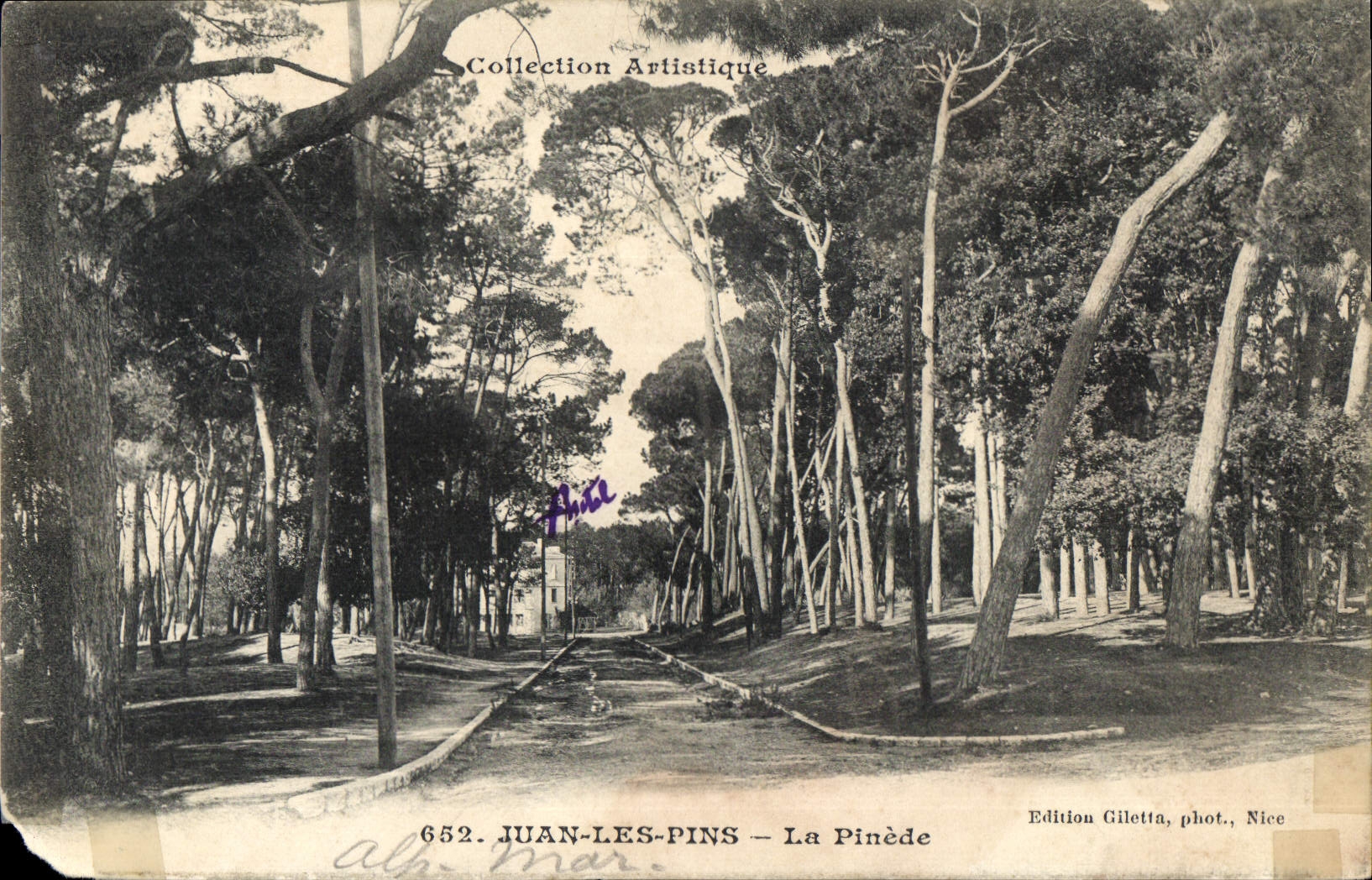 CPA Jean Les Pins La Pinede 