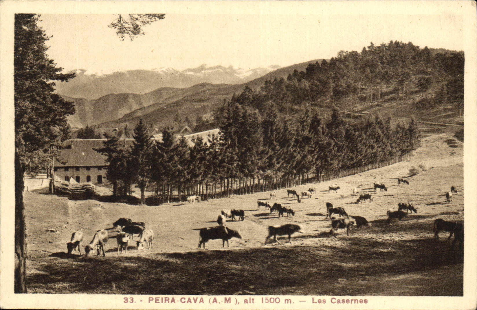 CPA Peira Cava Les Casernes 
