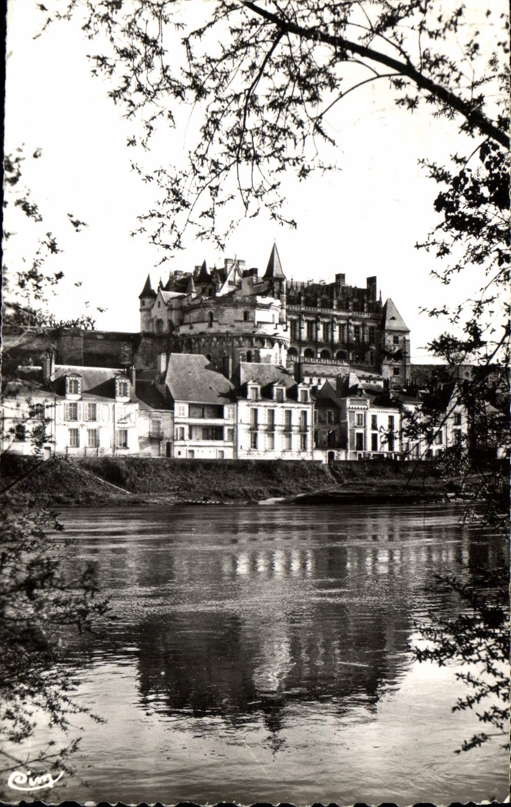 CPA Amboise Le Chateau 