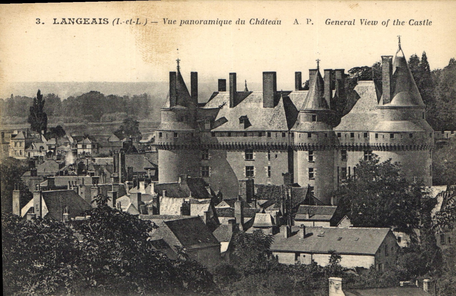 CPA Langeais vue panoramique du chateau 