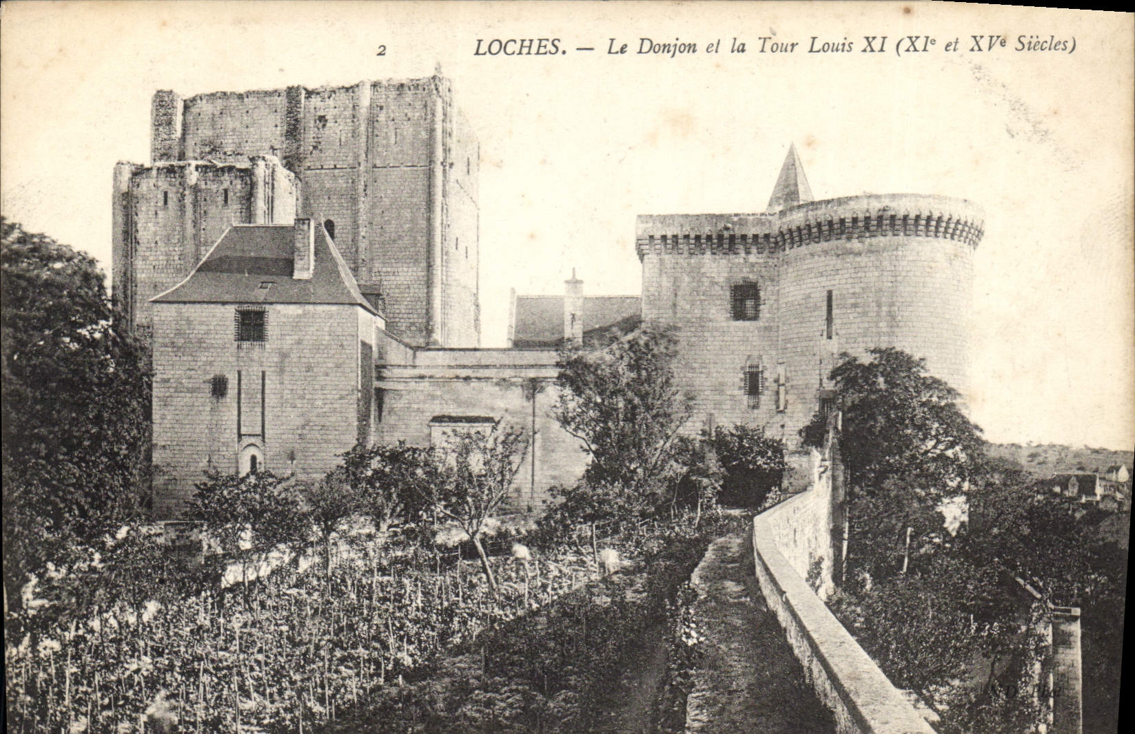CPA Loches Le Donjon et la tour Louis XI 