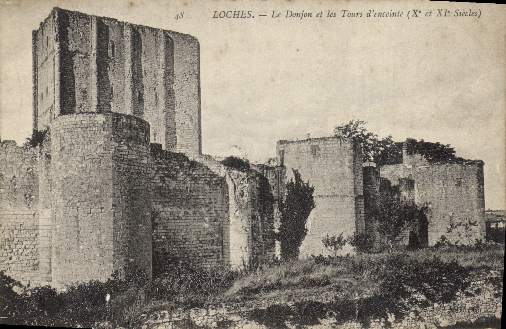 CPA Loches Le Donjon et les Tours d 'Aciente 