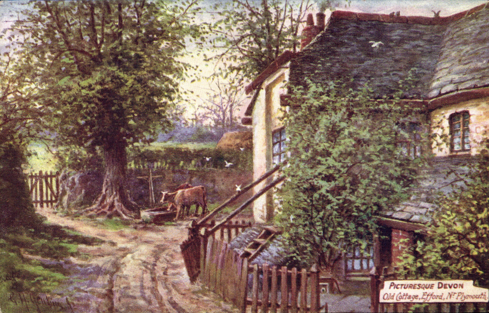 CPA Picturesque Devon 