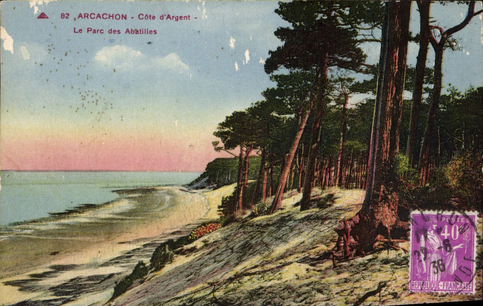 CPA Arcachon Cote d'Argent Le Parc des Abatilles 