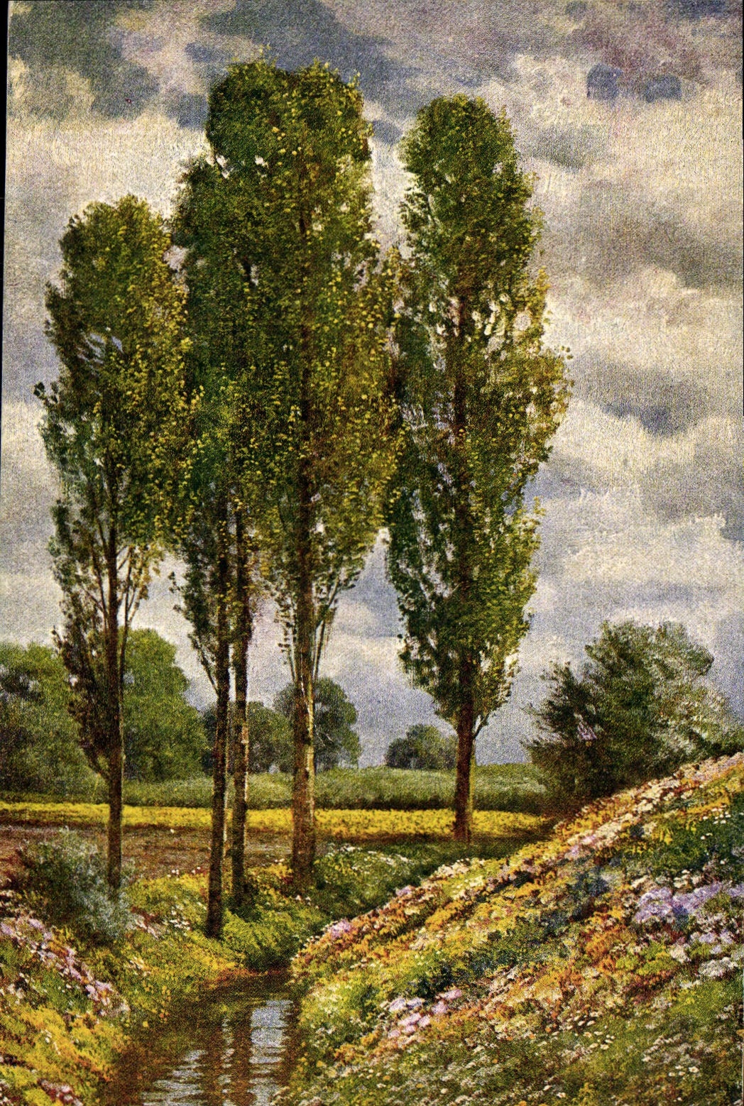 CPA Ed Rudisuhli Maientag 