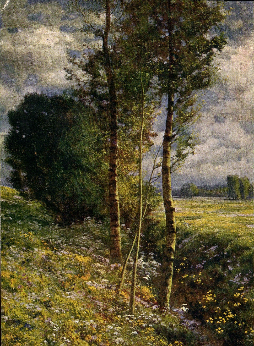 CPA Ed Rudisuhli Fruhling 