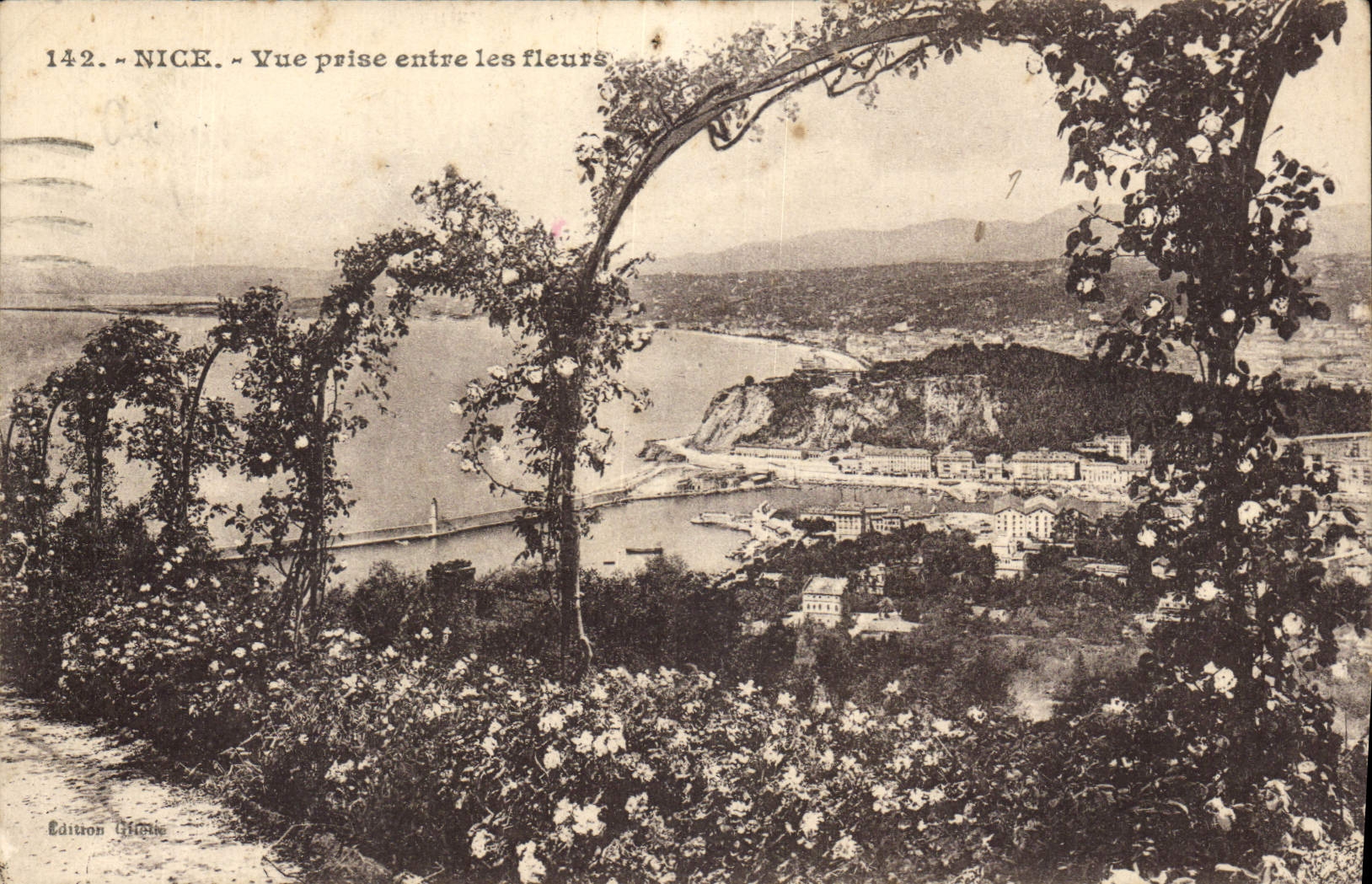 CPA Nice vue prise entre les fleurs 