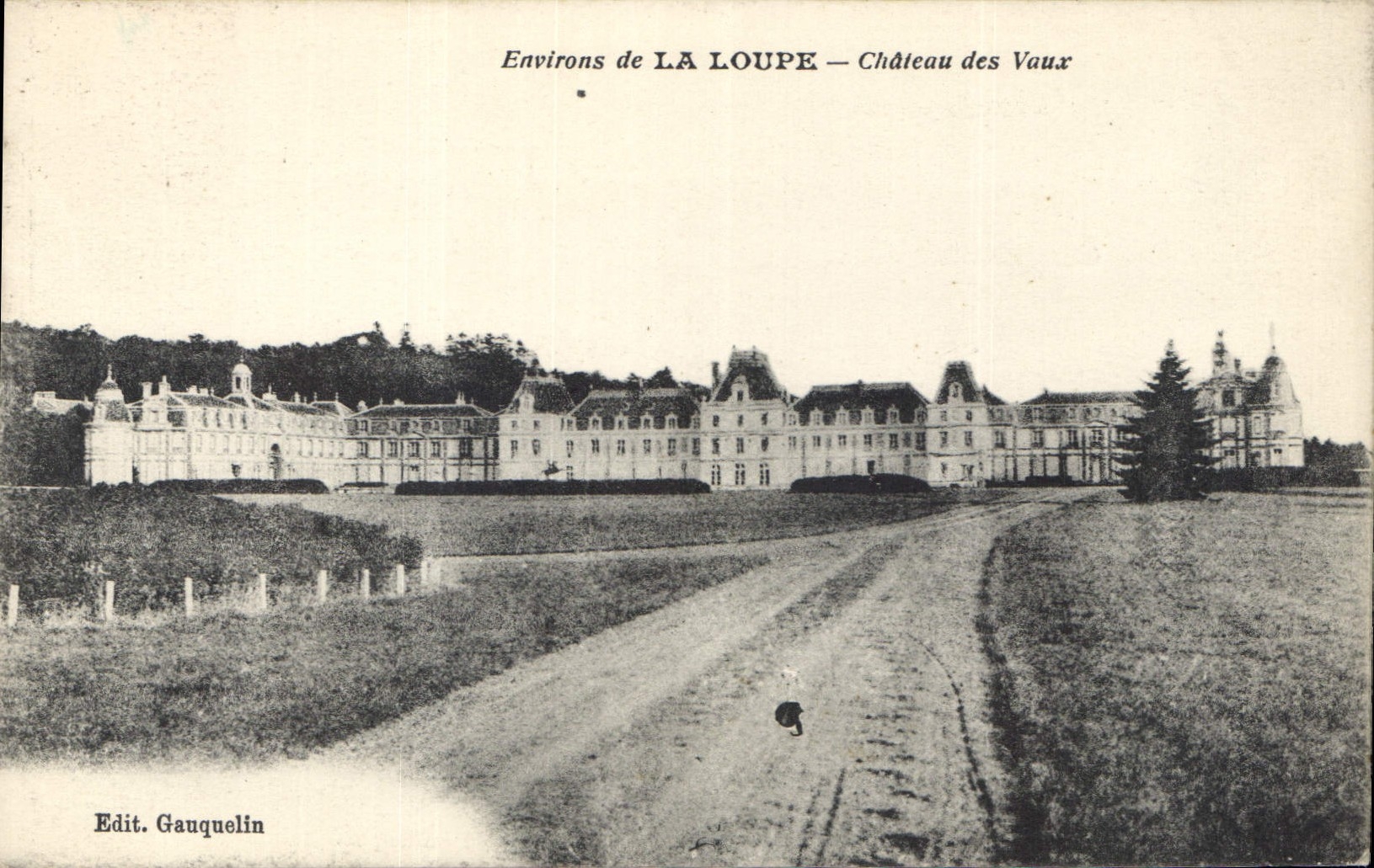 CPA Environs de la Loupe Chateau des Vaux