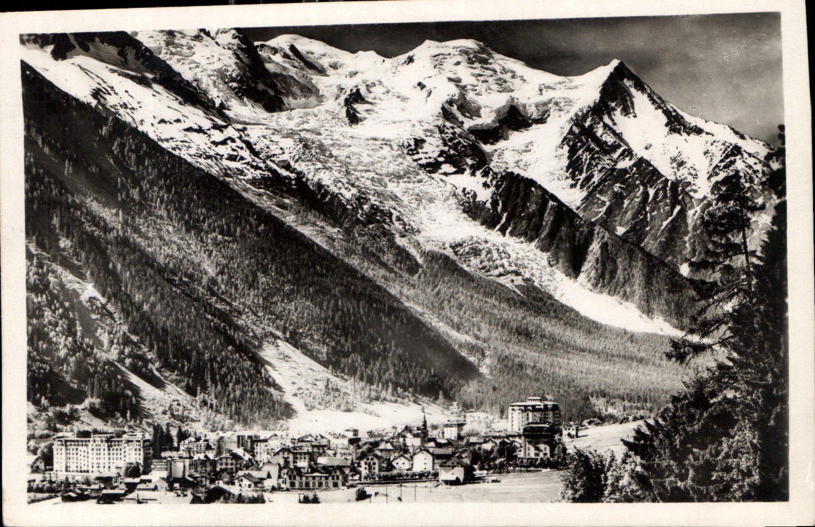 CPA Chamonix et le Mont Blanc 