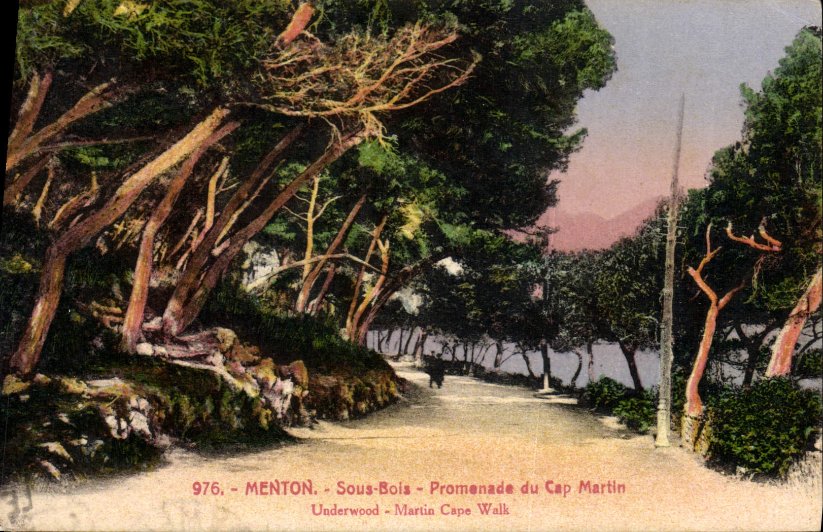 CPA Menton Sous Bois Promenade du Cap Martin 