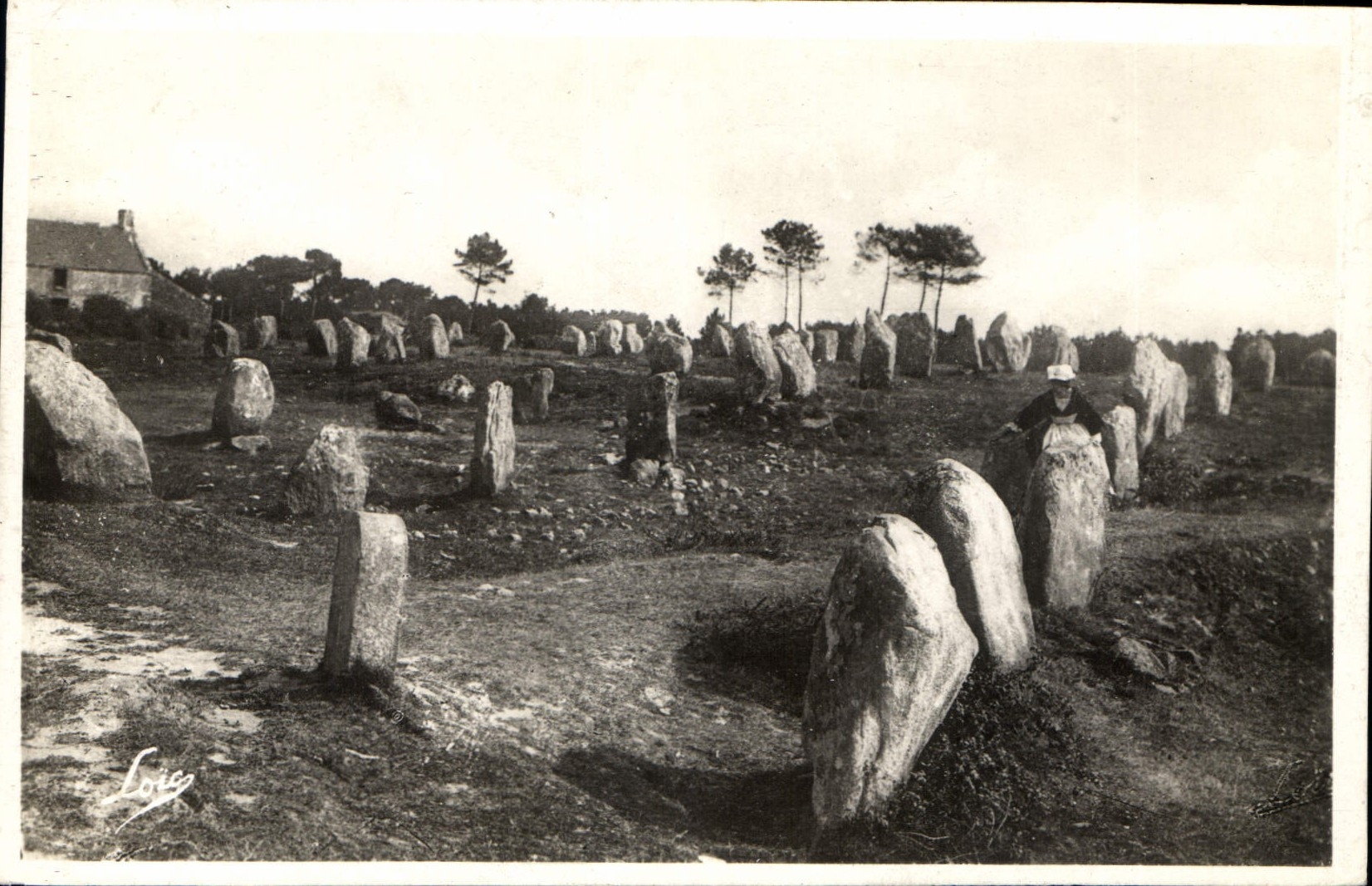 CPA Carnac les Alignements du Petit Menec 