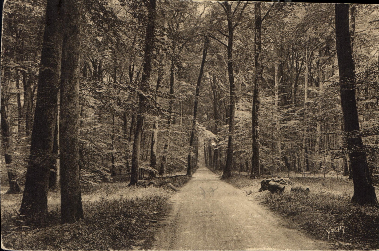 CPA Fontainbleau S et M la Foret ronde de Fontainebleau a Barbizon 