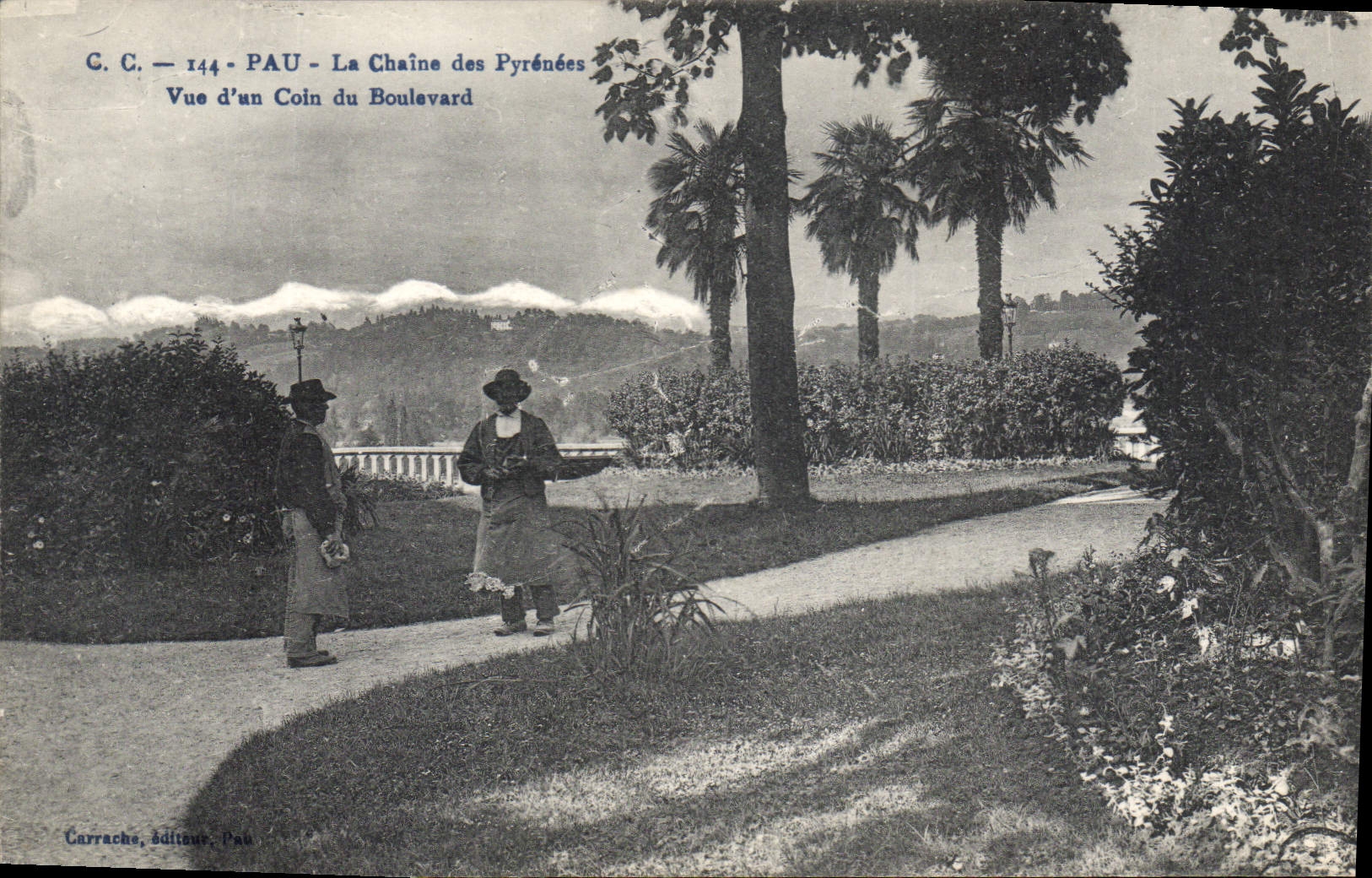 CPA Pau la Chaine des Pyrenees vue d'un Coin du Boulevard 