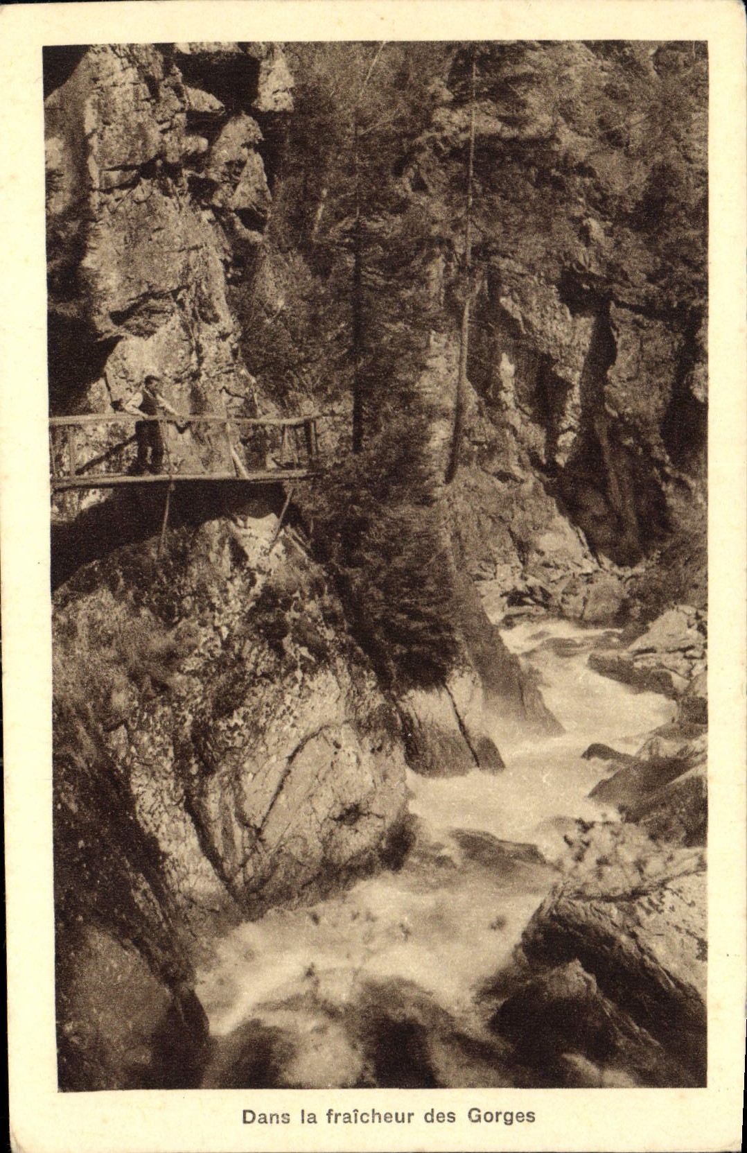 CPA Gorges de la Diosaz une merveille de la Nature Servoz pres Chamonix 