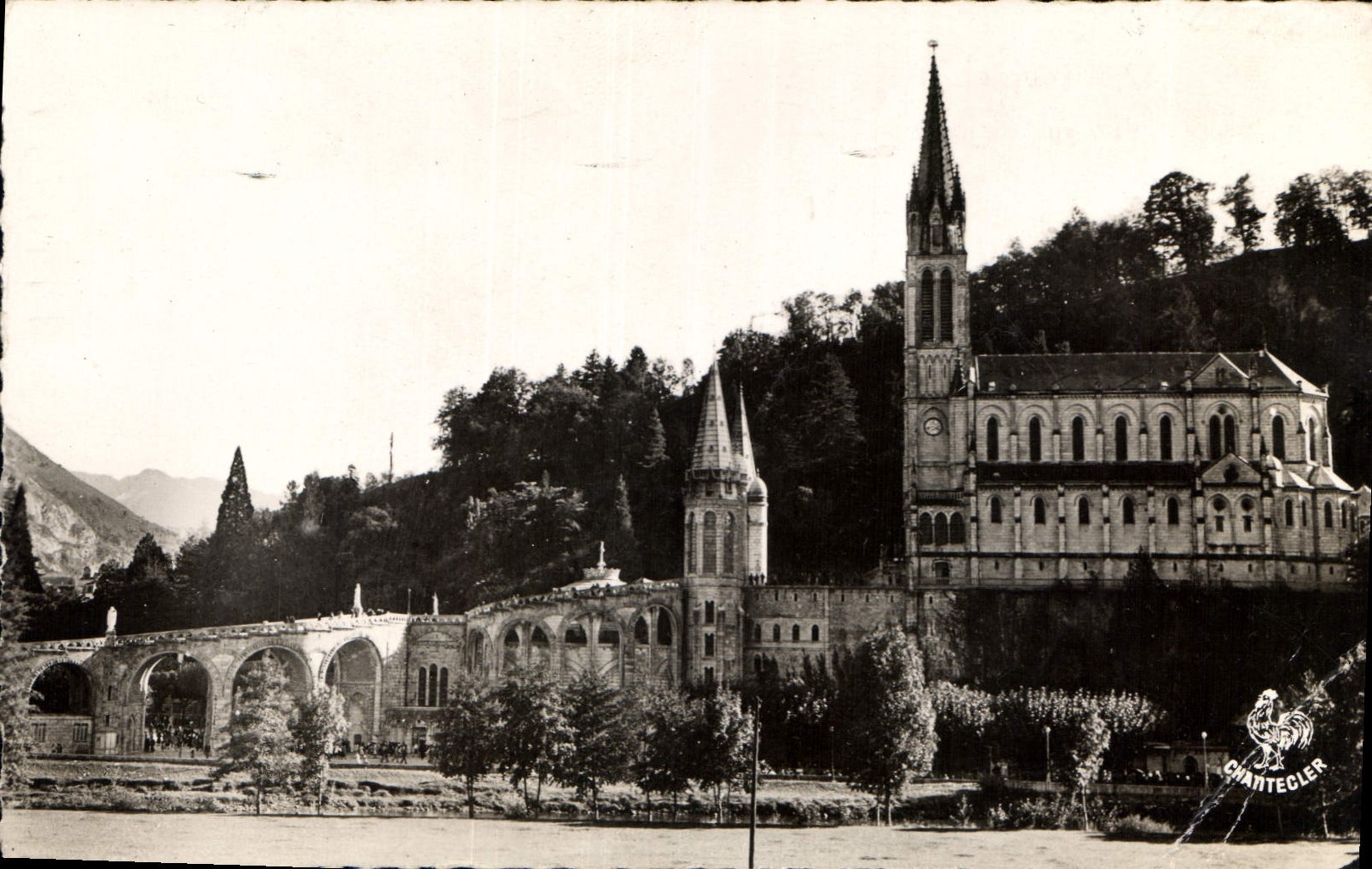 CPA Lourdes H P la basilique vue de la Route de Pau 
