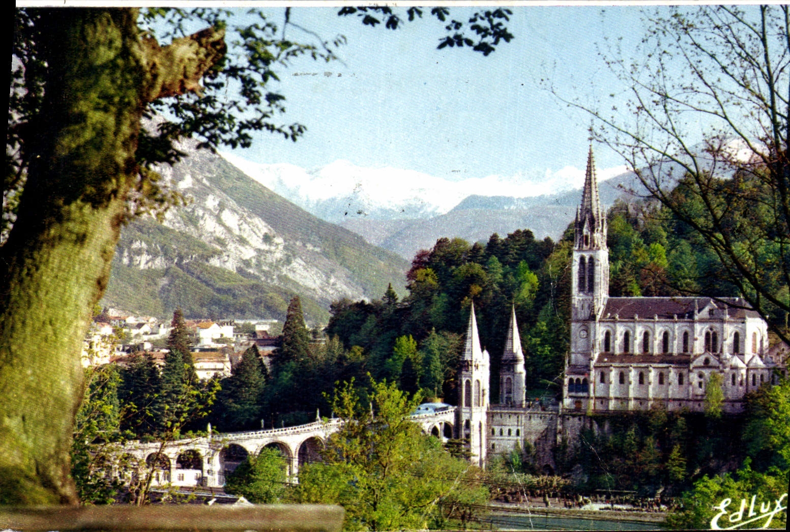 CPA Lourdes la Basilique et le Pic du Jer 