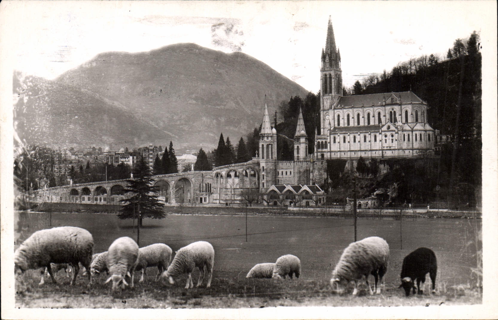 CPA Lourdes La Basilique et le Pic du Jer 