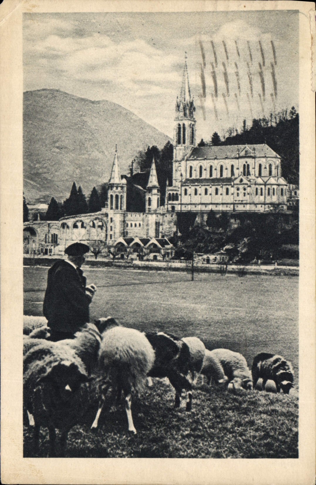 CPA Lourdes La Basilique Moutons Berger