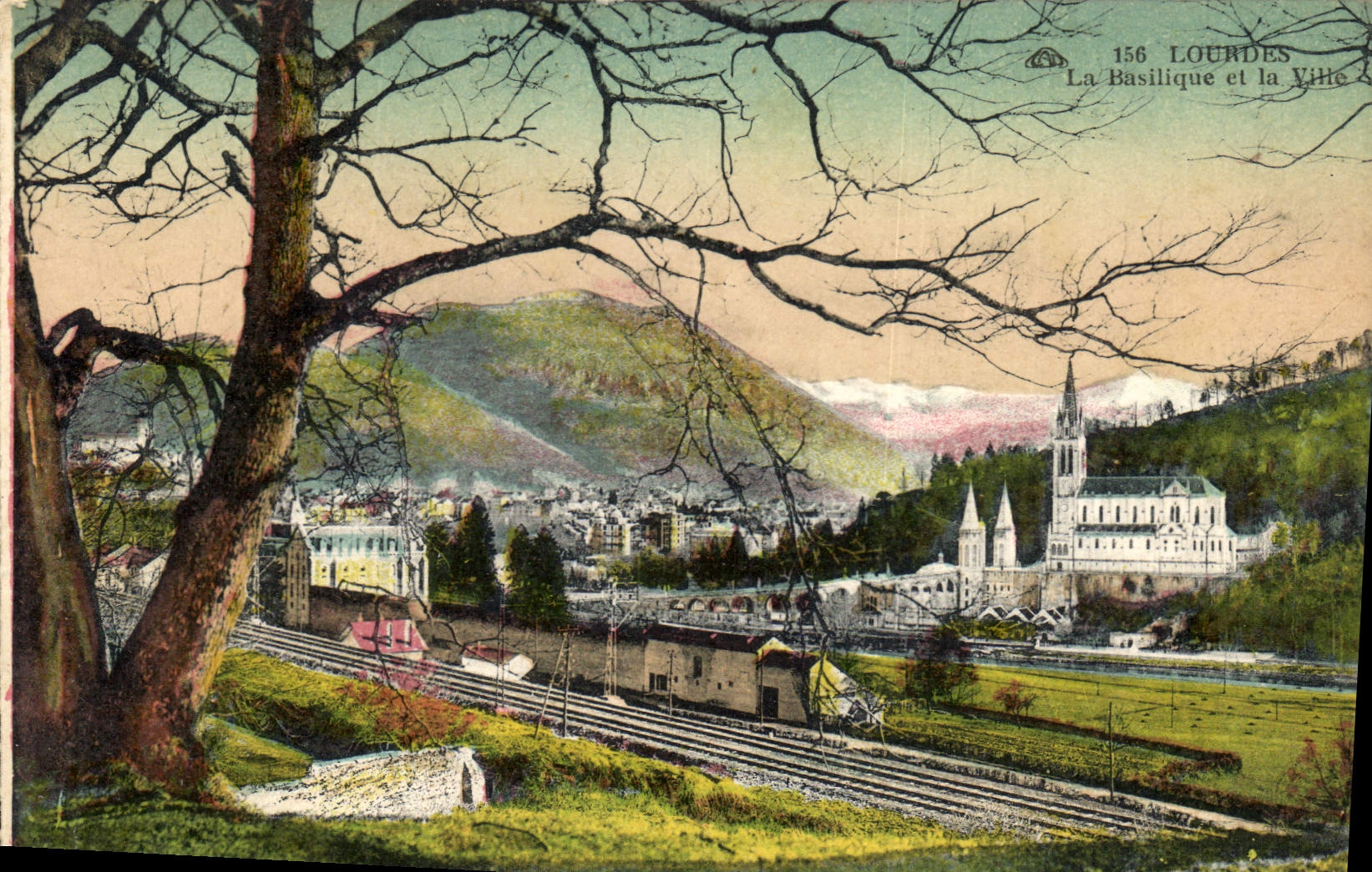 CPA Lourdes La Basilique et la Ville 
