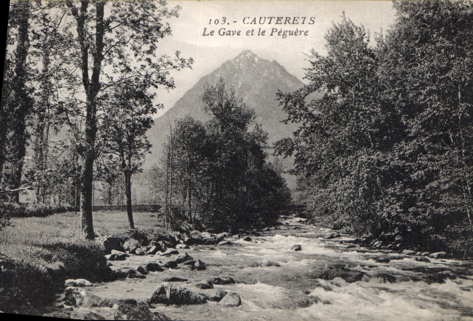 CPA Cauterets Le Gave et le Peguere 
