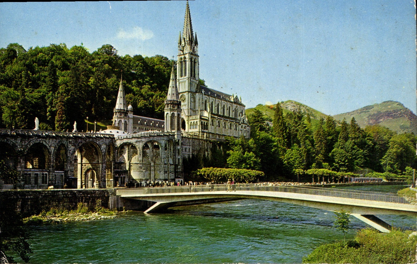 CPA Lourdes la Basilique et le Gave 