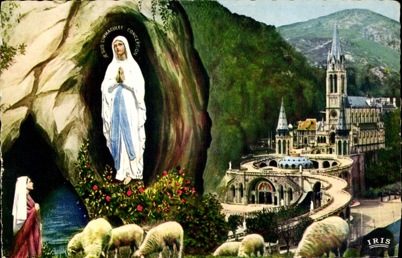 CPA Lourdes La Basilique et l'Apparition 