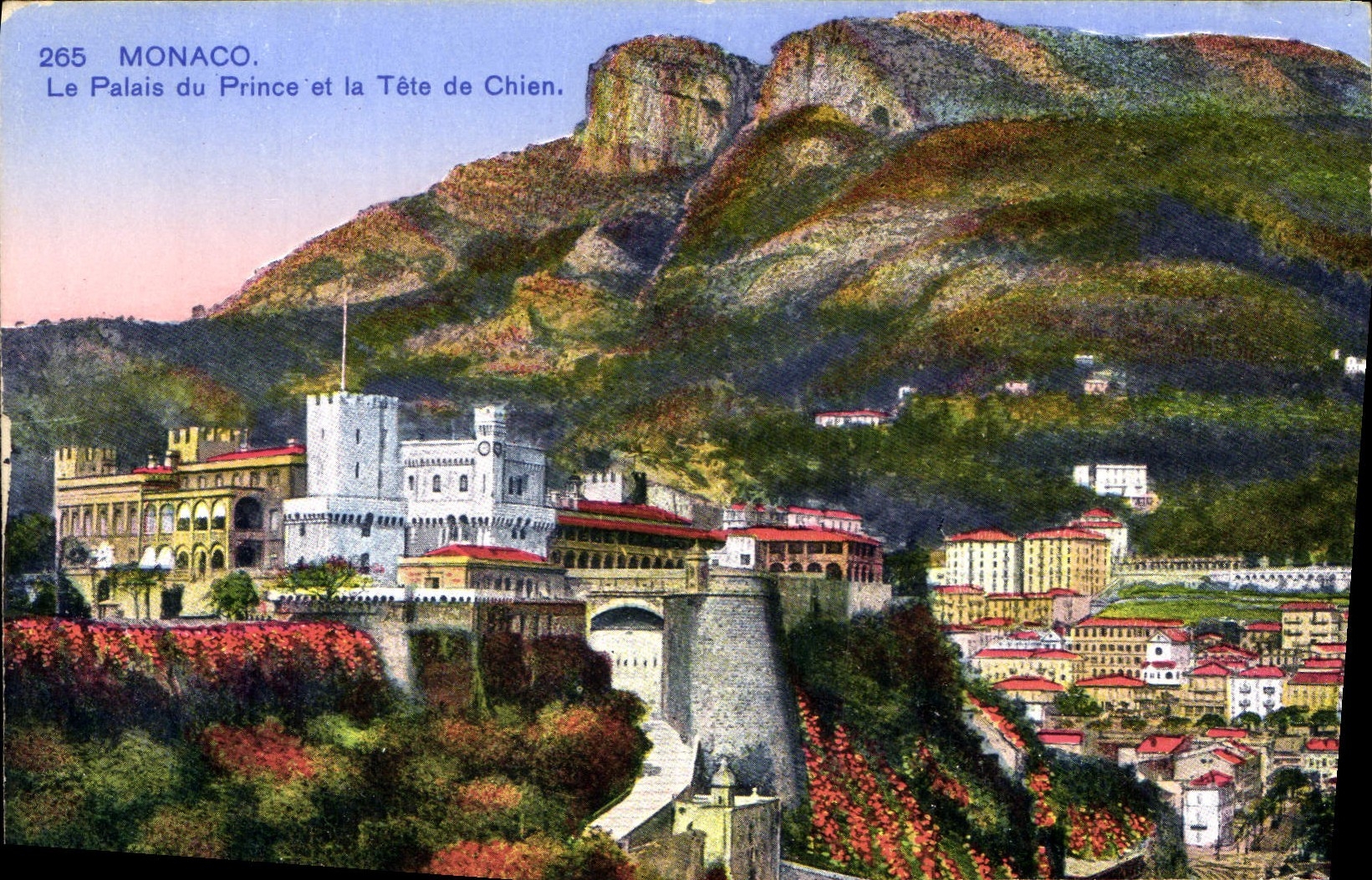 CPA Monaco Le Palais du Price et la Tete de Chien