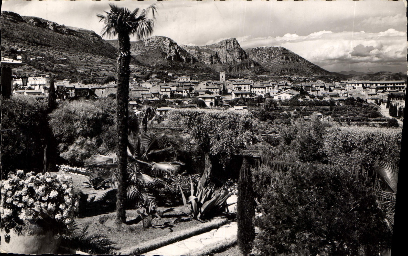 CPA Vence la Jolie A M Vue generale entre les fleurs 