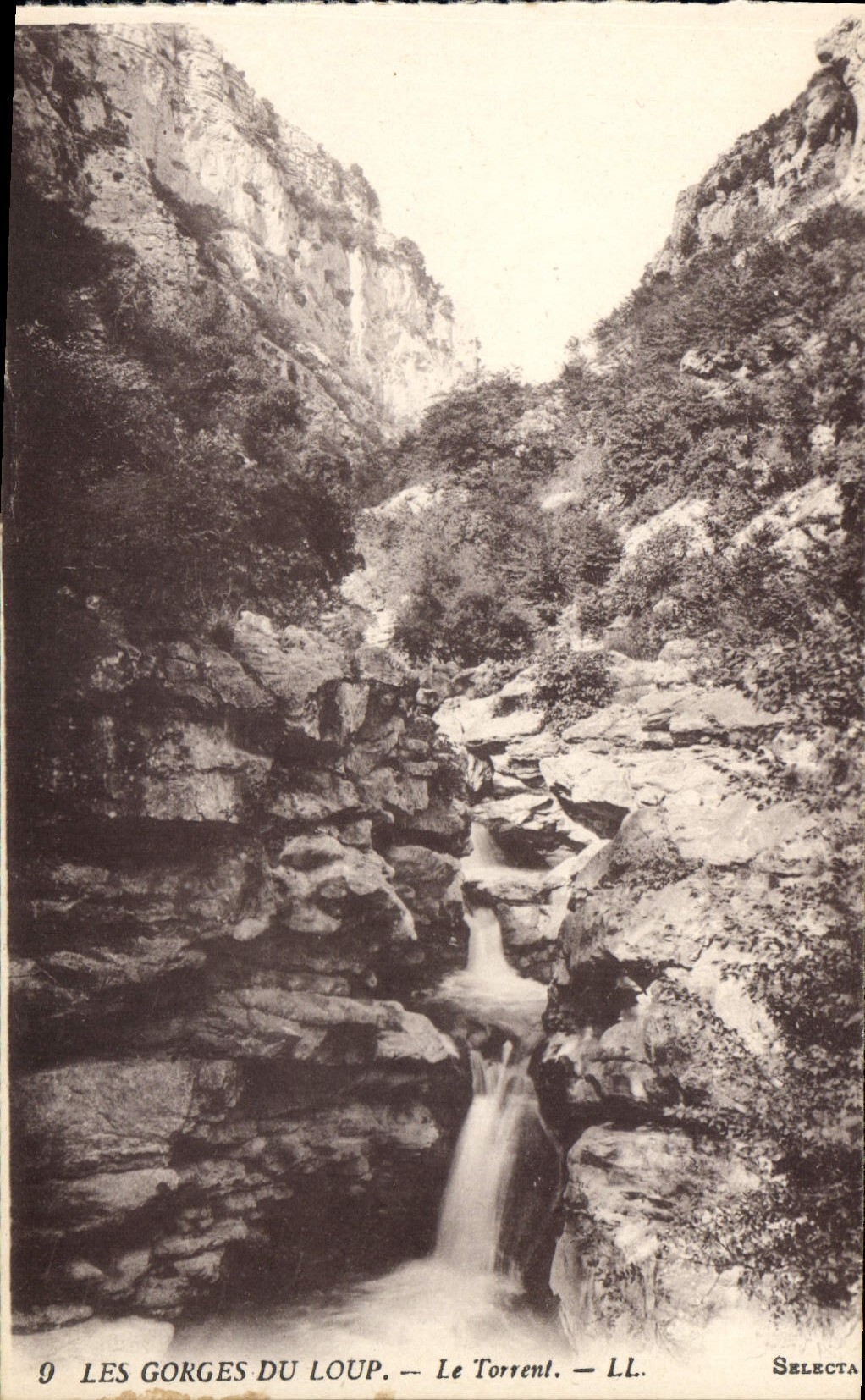 CPA Les Gorges du Loup Le Torrent 