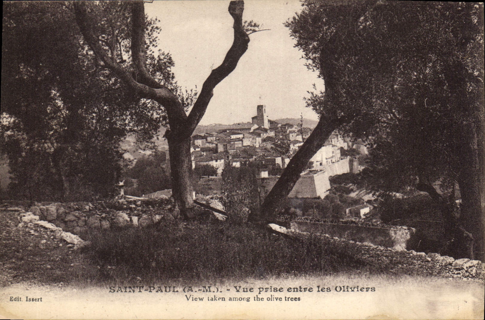 CPA Saint Paul A M vue prise entre les Oliviers