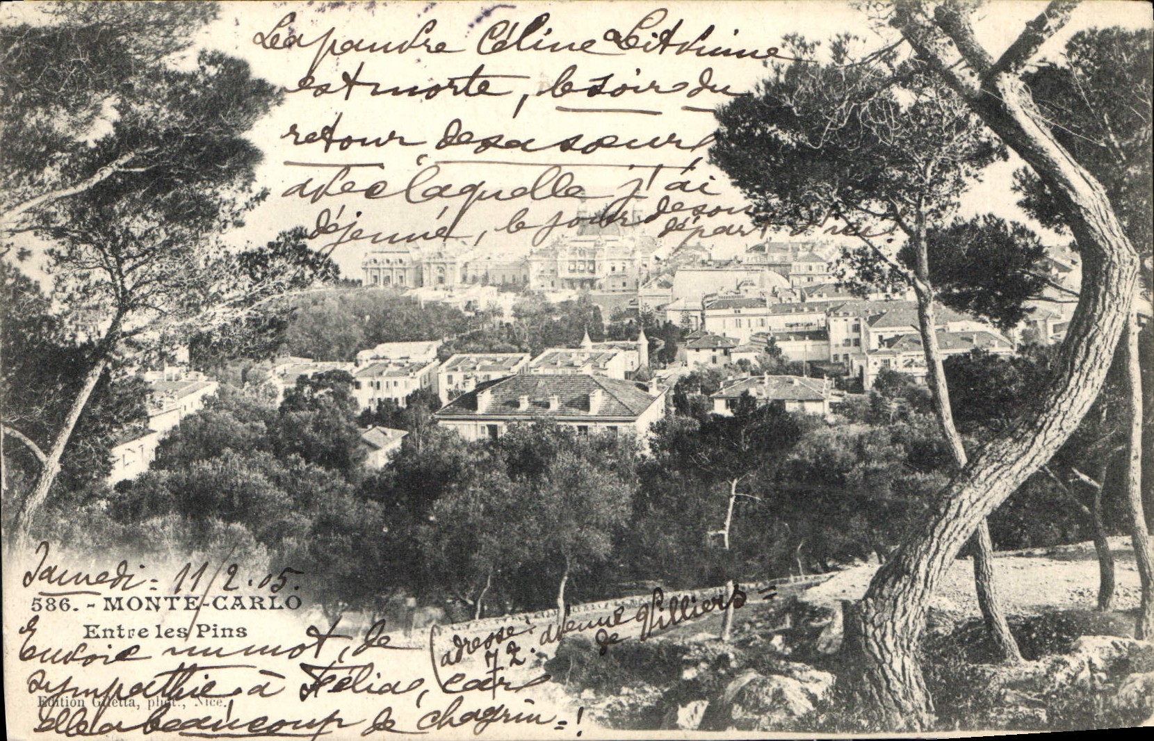 CPA Monte Carlo entre les Pins 