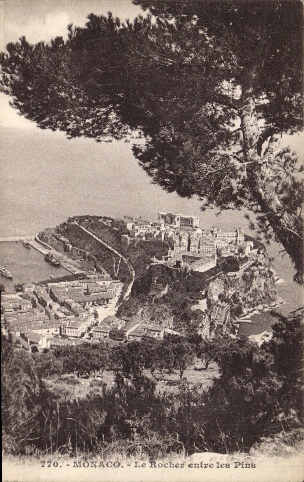 CPA Monaco le Rocher entre les Pins 