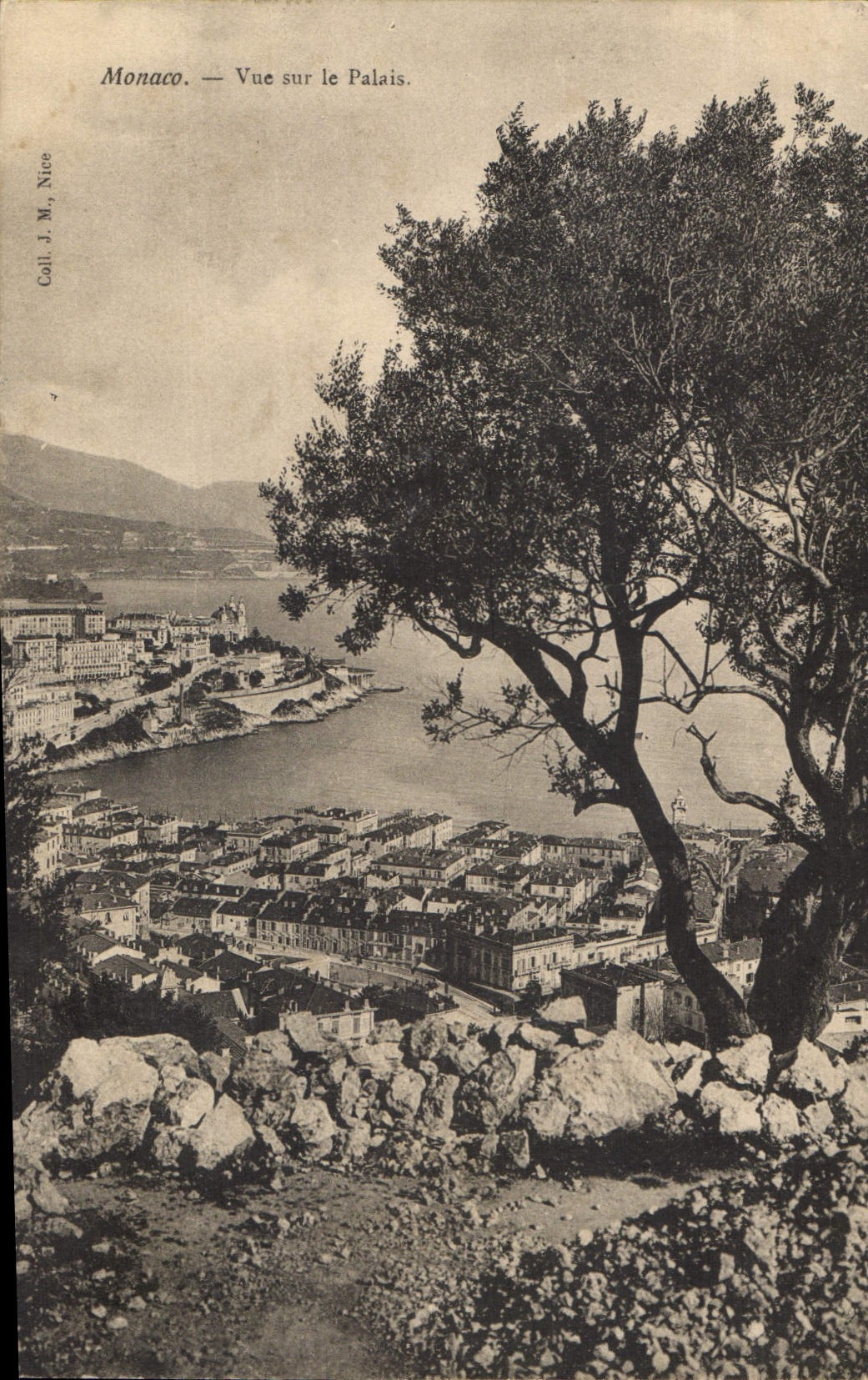 CPA Monaco vue sur le Palais 
